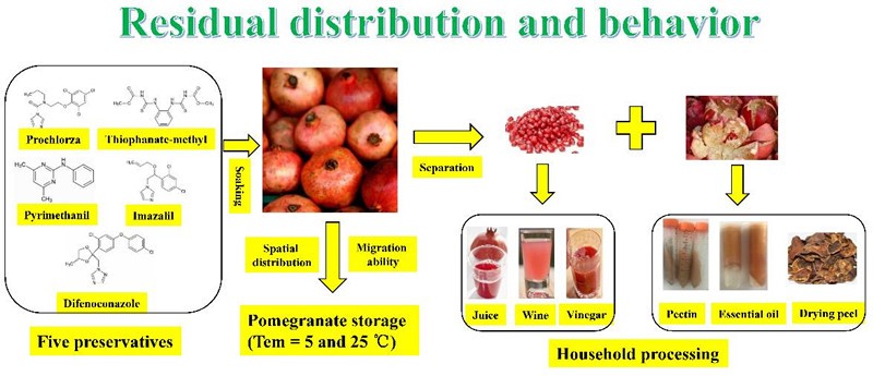 Residual distribution and behavior.jpg