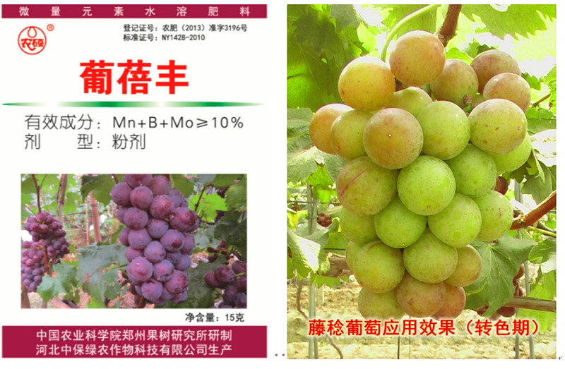 葡倍丰_副本.jpg
