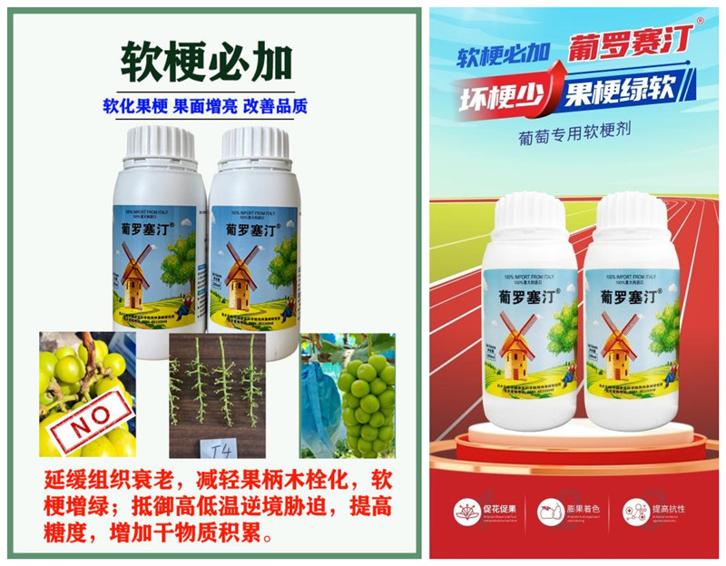 葡罗塞汀——葡萄软梗必加