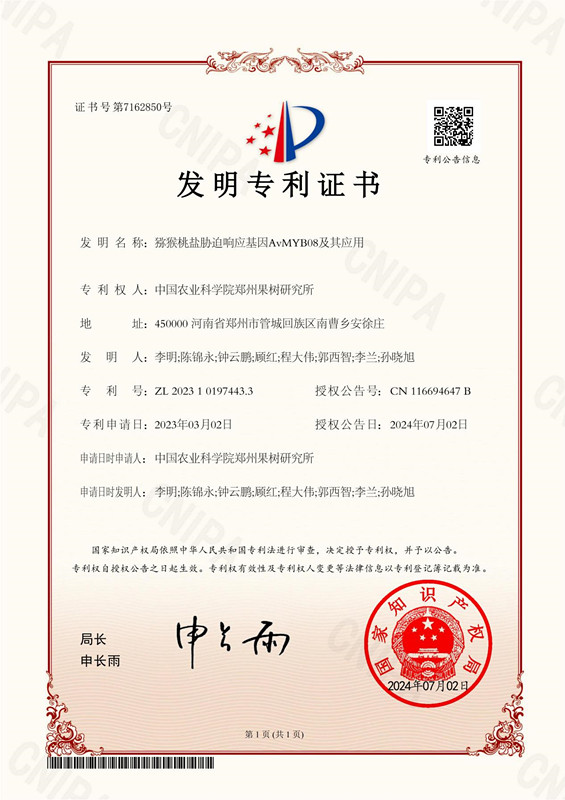 发明专利_副本.jpg
