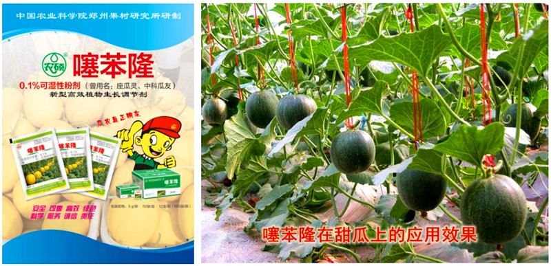 噻苯隆_副本.jpg