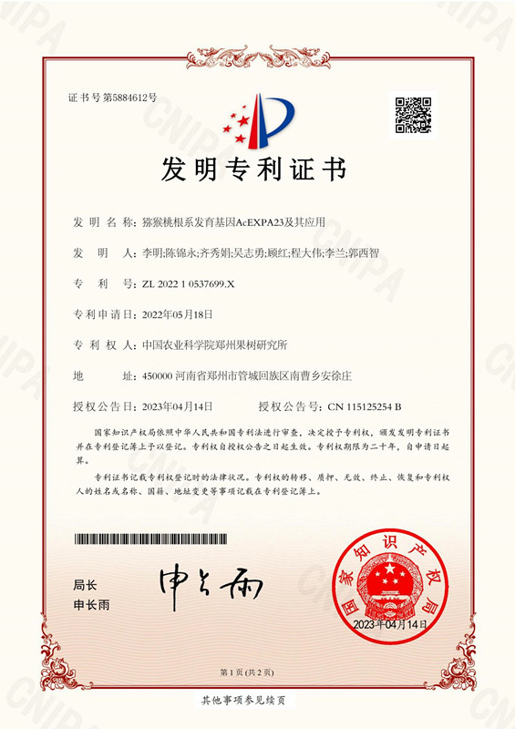 猕猴桃根系发育基因AcEXPA23及其应用_副本.jpg