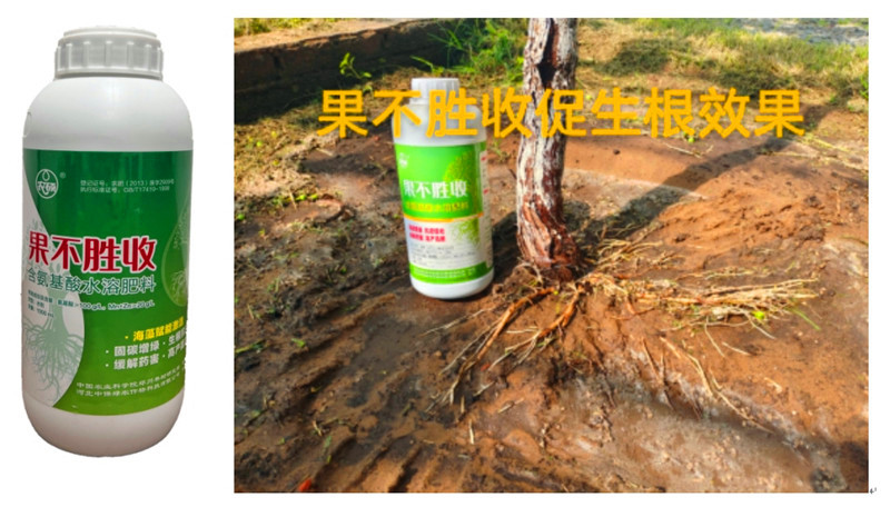 果不胜收_副本_副本.jpg