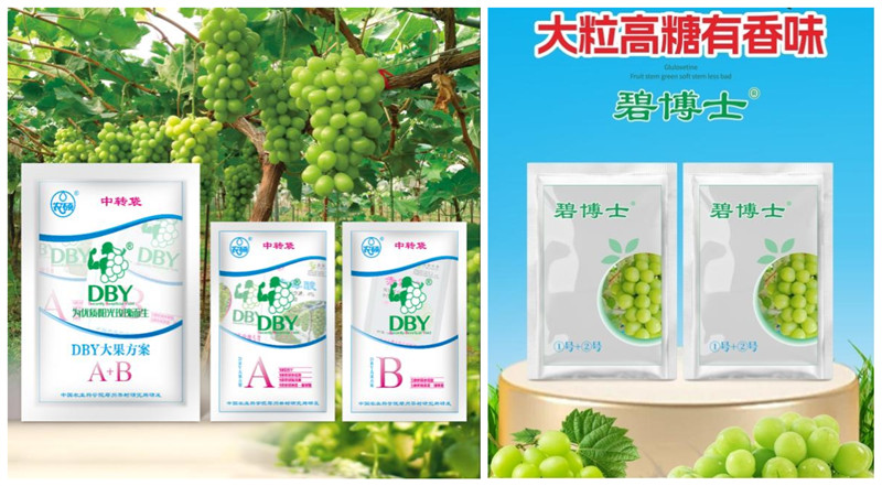 ‘阳光玫瑰’葡萄花果调控系列产品