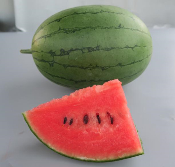 众天1293_副本.jpg