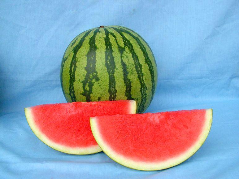 特点特性:高瓜氨酸含量三倍体无籽西瓜品种.