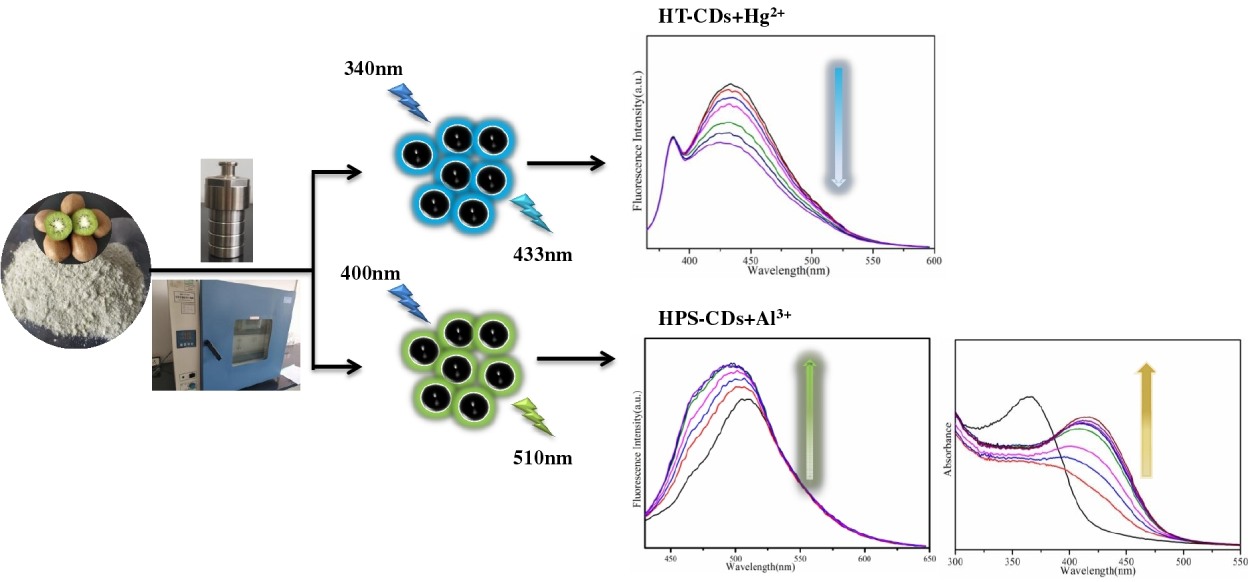 瓜果质量安全监测与控制技术团队研发多种功能型荧光碳纳米材料用于金属离子检测